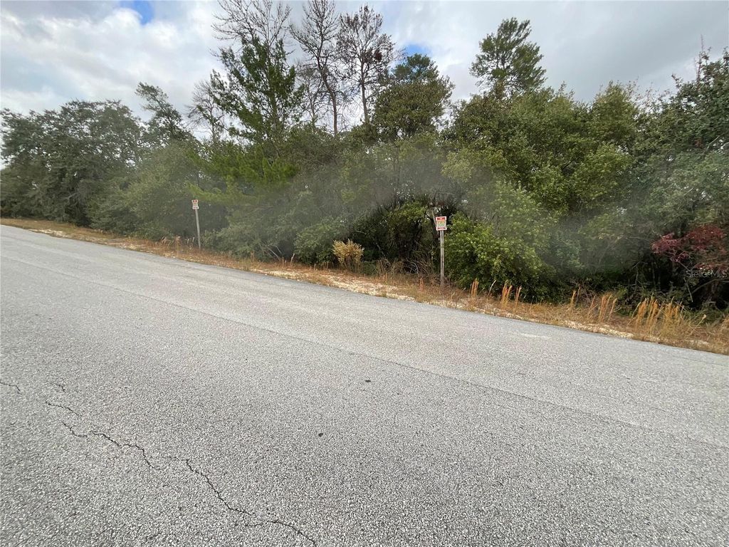 Photo of Tbd SW 111th Place, Ocala, FL 34476 (MLS # OM714414)