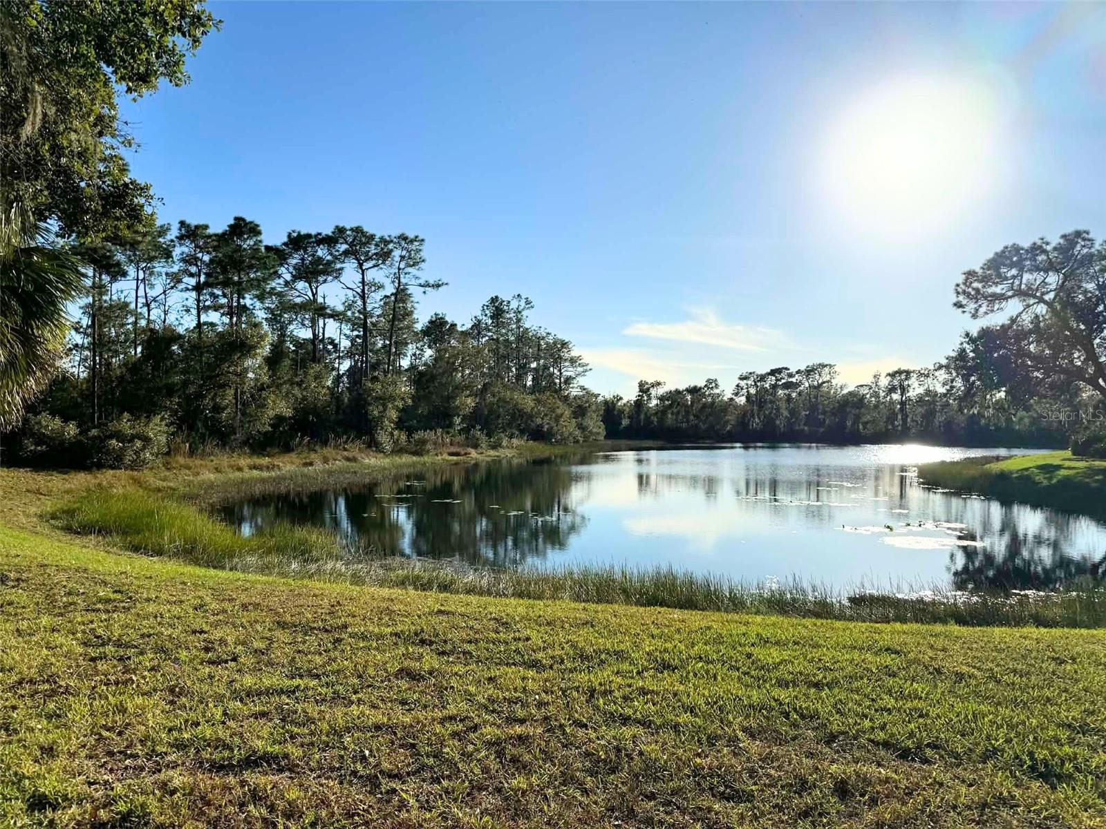 BENT TREE VILLAGE - Residential