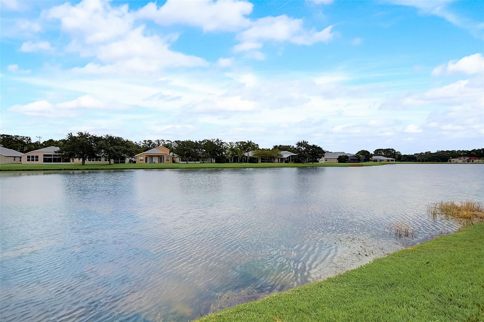 LEXINGTON OAKS VILLAGE 30 - Residential