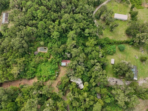 Tiny photo for 2424 NE 170th Street, Citra, FL 32113 (MLS # OM723731)