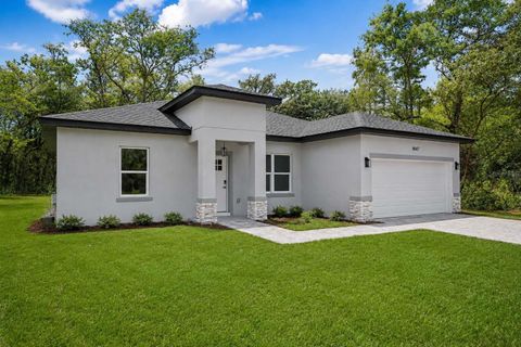 Photo of 8547 N Trojan Drive, Citrus Springs, FL 34433 (MLS # TB8505573)