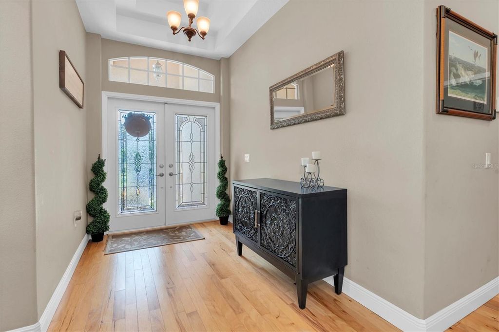 Photo of 1001 Spoontail Court, Tarpon Springs, FL 34689 (MLS # W7879699)