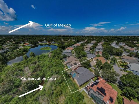 A home in TARPON SPRINGS