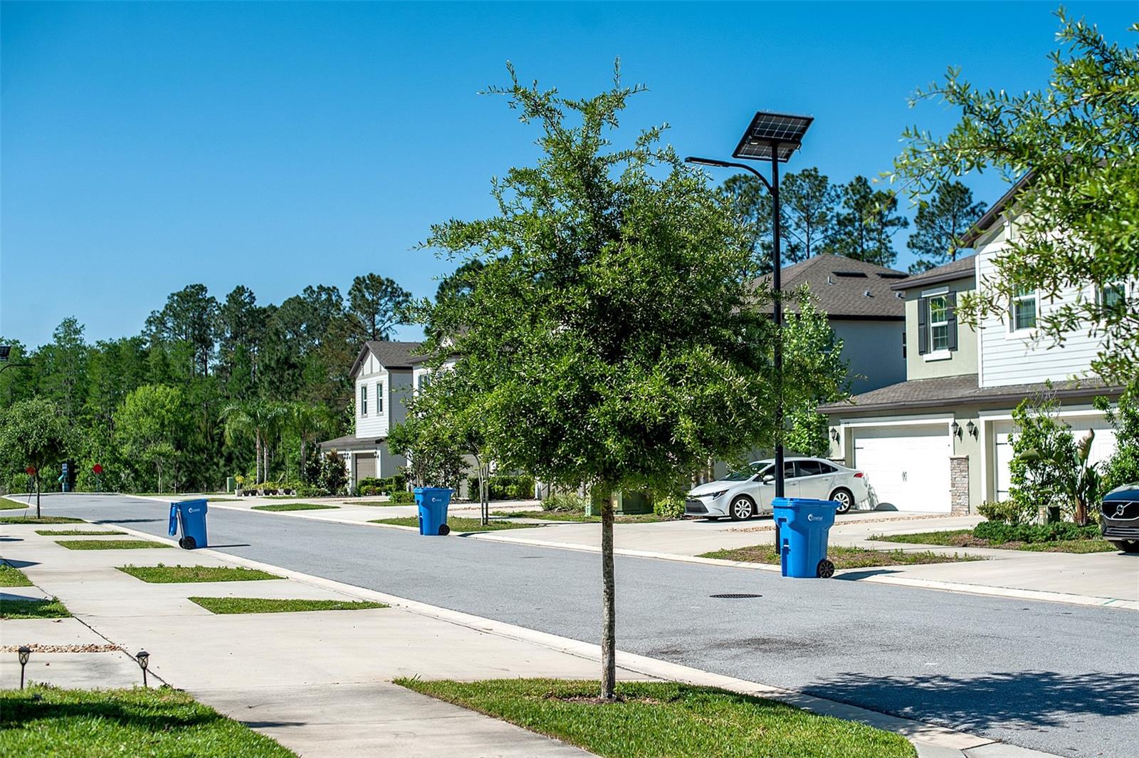 TOWNES/CYPRESS RANCH - Residential