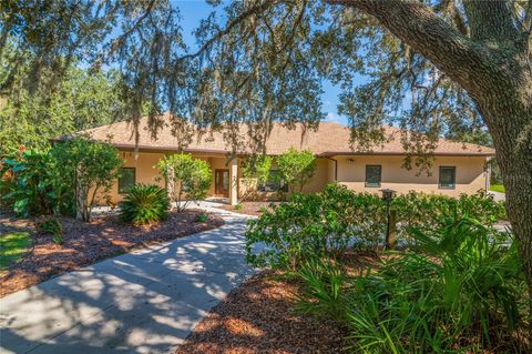 Photo of 3933 Mammoth Grove Road, Lake Wales, FL 33898 (MLS # L4948125)