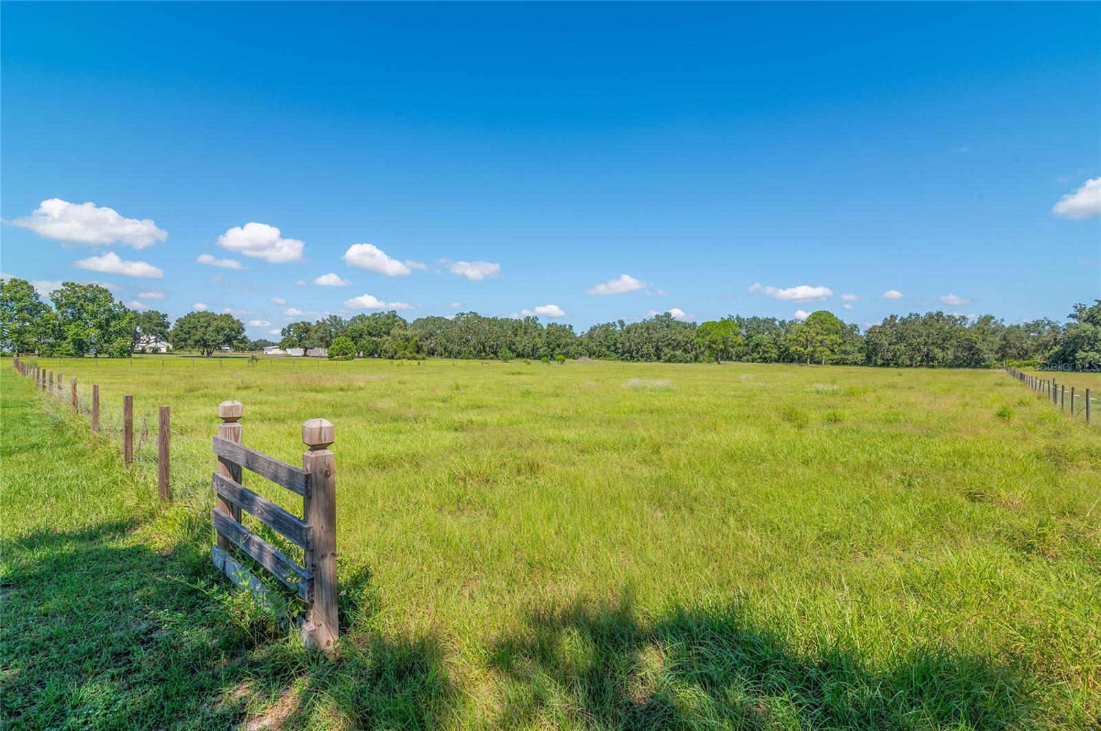 MAMMOTH GROVE - Residential