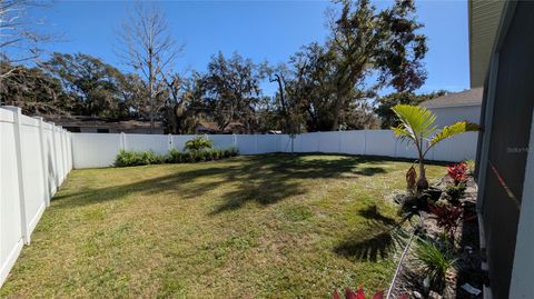 A home in MOUNT DORA