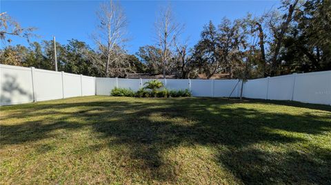 A home in MOUNT DORA