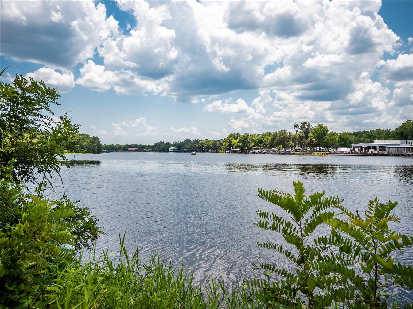 ASSESSORS LT 03 & 05 VOLUSIA - Land