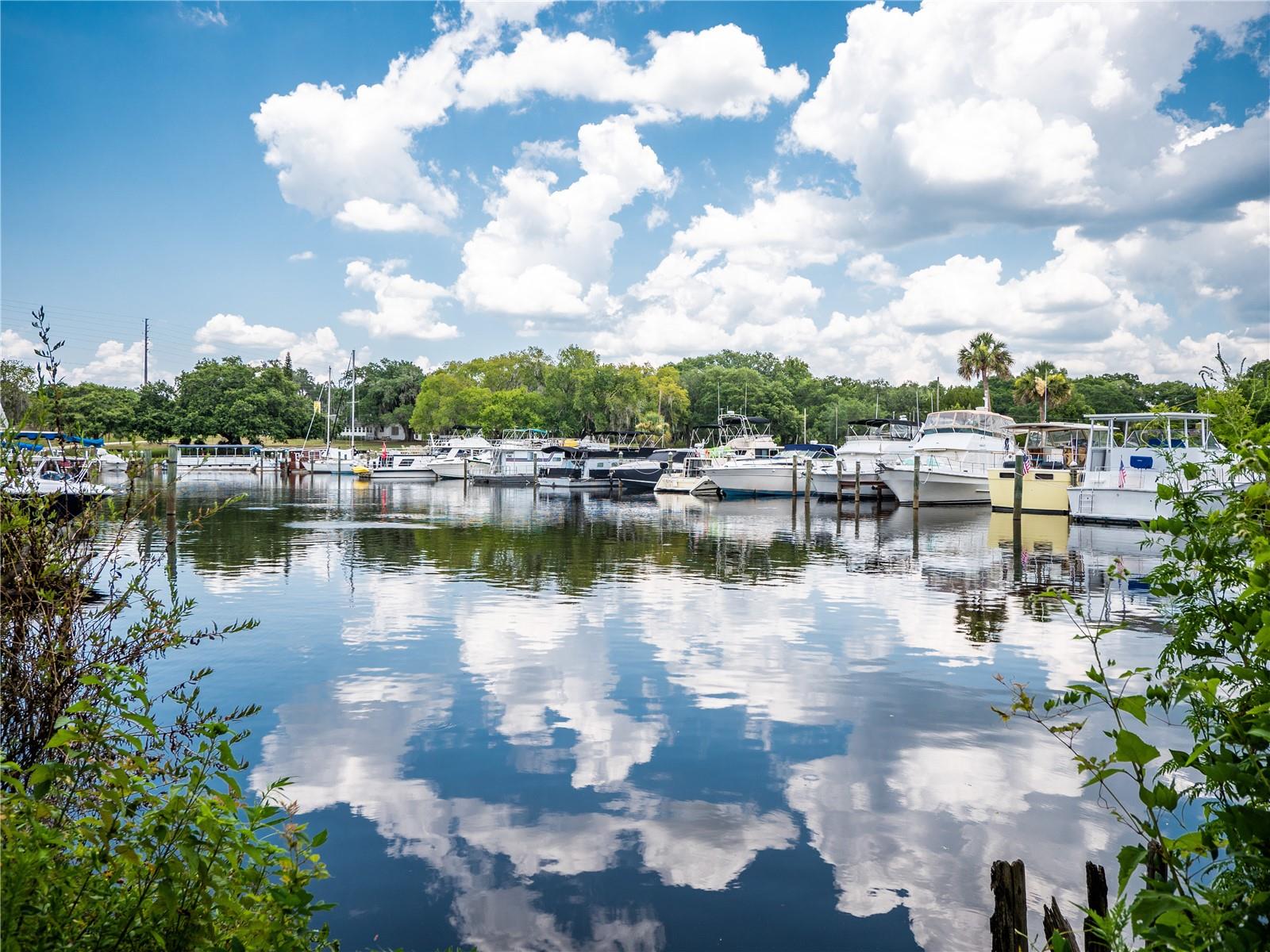 ASSESSORS LT 03 & 05 VOLUSIA - Land