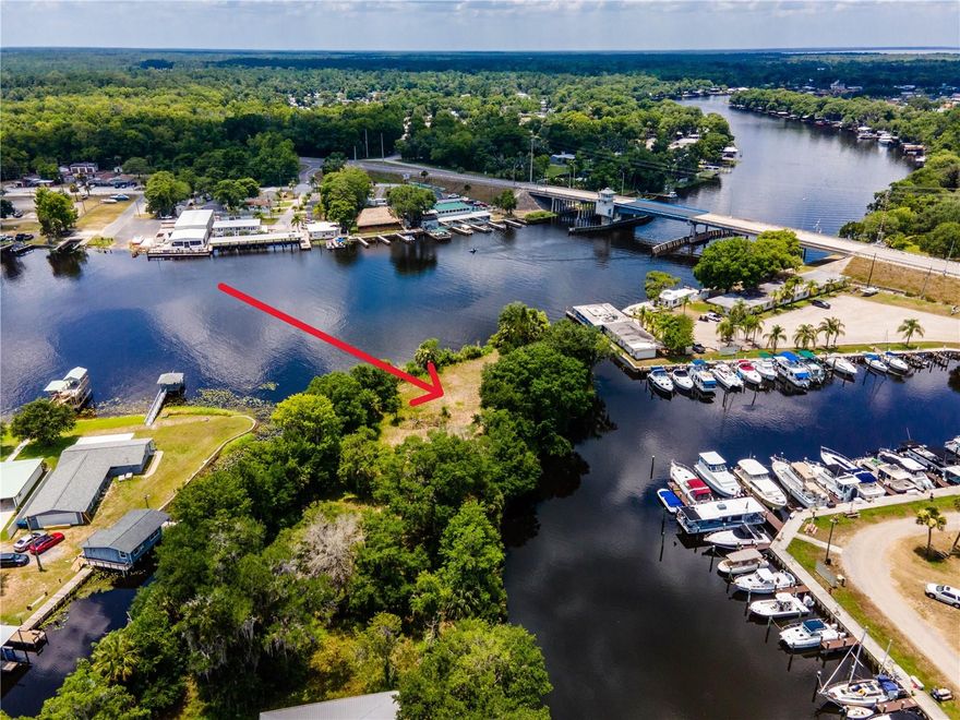 A property like this comes on the market once in a lifetime. St. Johns Riverfront Property !!! Hundreds of feet of waterfront (Approximately 600 Square Feet) with UNFORGETTABLE VIEWS & SUNSETS! Restaurants, marinas, and a lively community are within a mile. A rare opportunity to own a point lot with long river views. You can take a short boat ride to one of the most pristine springs in Florida, Silver Glen! Sewer and water in place! This property is level, cleared & high & dry. A concrete block boat slip has been cut into the bank on the southside canal and a partial seawall on the river side. This charming town, named after one of the town’s developers (the Astor family of Titanic and Waldorf Astoria fame), has a long and interesting history. Conveniently located as well, it’s an easy 30 mile drive to Daytona or Ocala, and about an hour to Orlando and major airports. Would make wonderful AirBNB location. This is a "one of a kind" property - must see to appreciate!