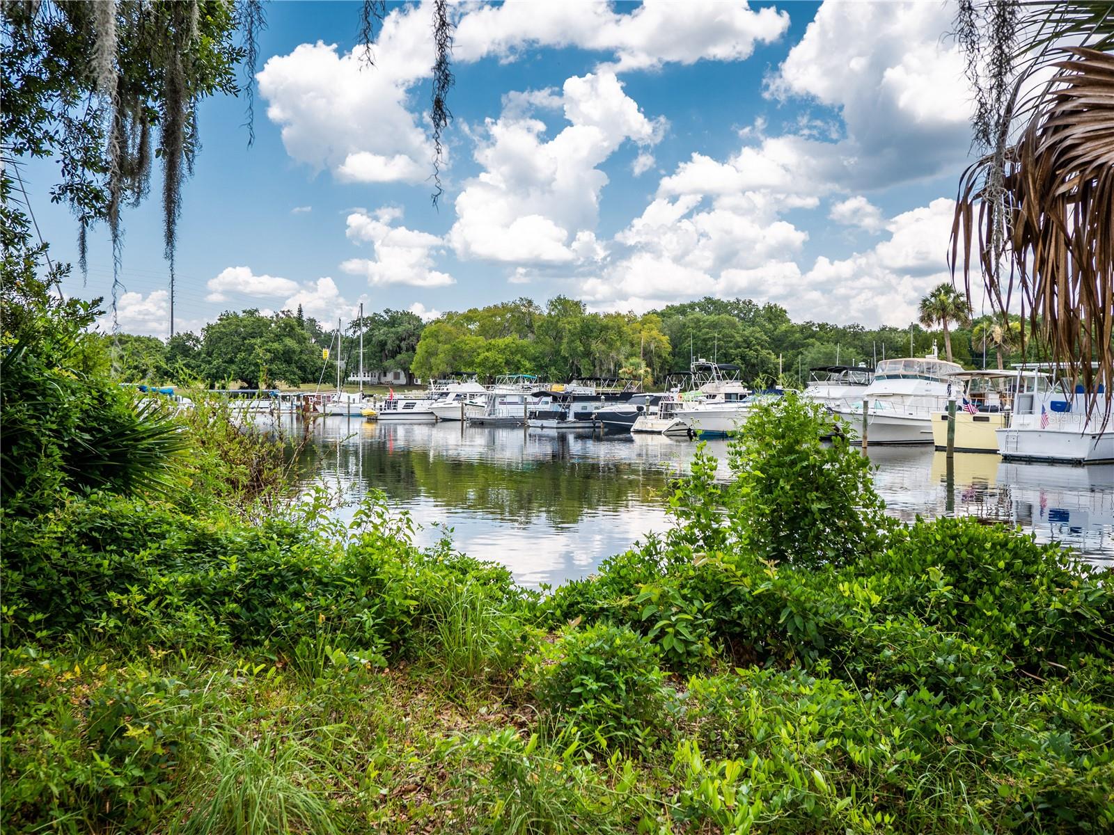 ASSESSORS LT 03 & 05 VOLUSIA - Land