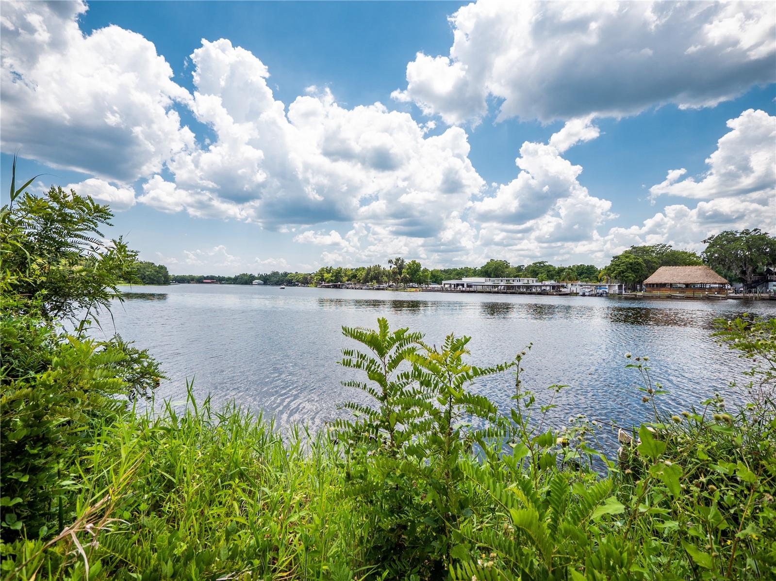 ASSESSORS LT 03 & 05 VOLUSIA - Land