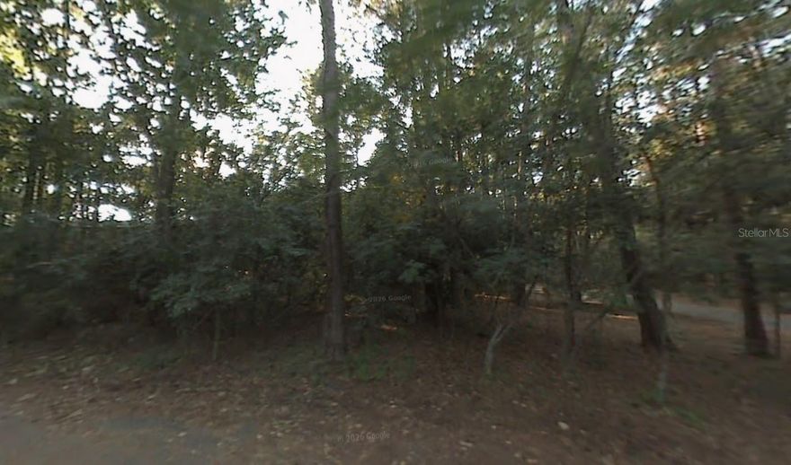 Build your vision at 304 Wood Grove Ct in Tallahassee! This 0.25-acre residential lot is ideally situated on a quiet cul-de-sac, offering the perfect blend of privacy and neighborhood charm. Surrounded by established homes and natural Florida beauty, this property provides a great opportunity to design and build your custom home. With ample space for a variety of home styles, there’s plenty of room to create your ideal layout, outdoor living area, or garden retreat. Conveniently located just minutes from shopping, dining, schools, and major roadways, this lot combines peaceful living with easy access to everything Tallahassee has to offer.
Whether you're ready to build now or invest for the future, this quarter-acre lot is a fantastic opportunity you won’t want to miss!