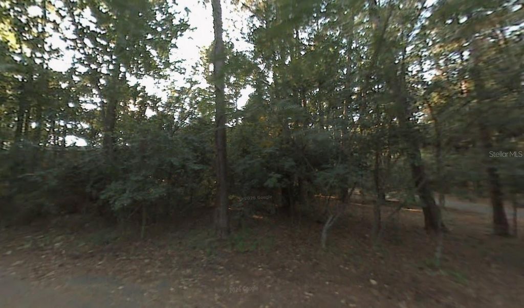 Photo of 304 Wood Grove Court, Tallahassee, FL 32301 (MLS # K4903446)