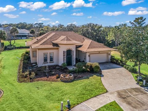 5236 ISLAND TERRACE COURT LADY LAKE FL 32159