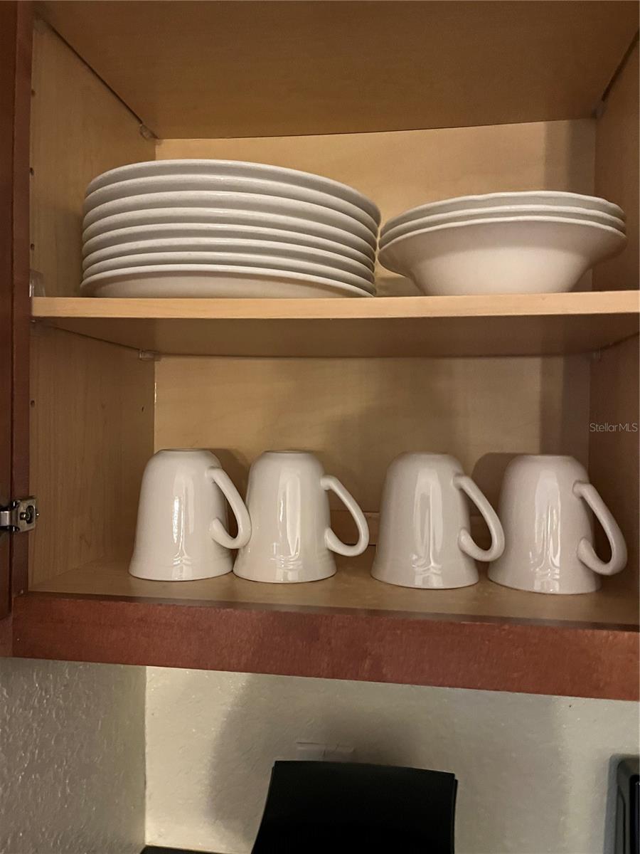 LAKE BUENA VISTA RESIDENCE VILLAGE I - Residential