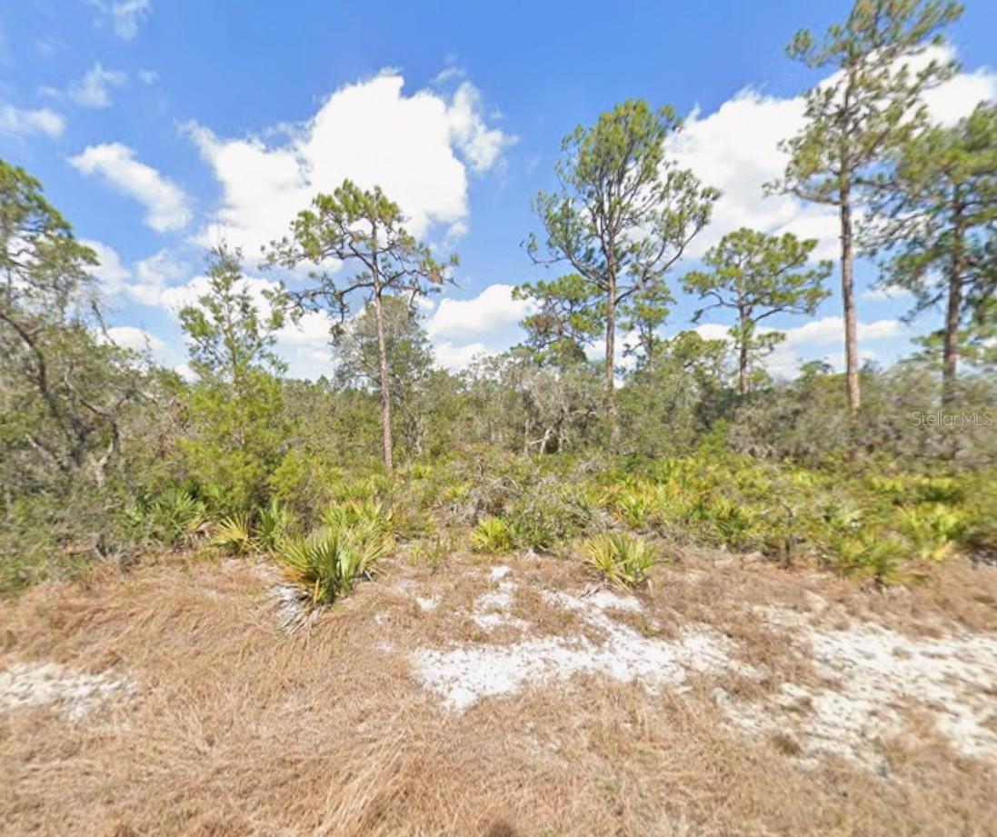 Photo 1 of 3 — 3047 WILLOW AVENUE, LAKE PLACID, FL 33852