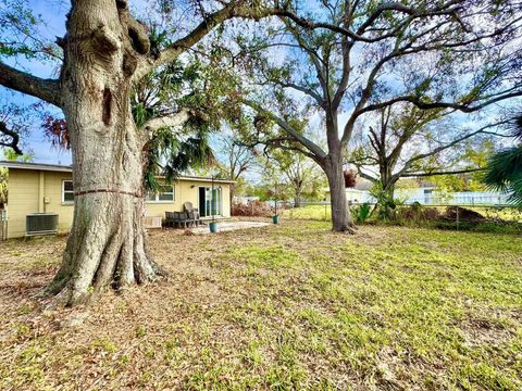 A home in TAMPA