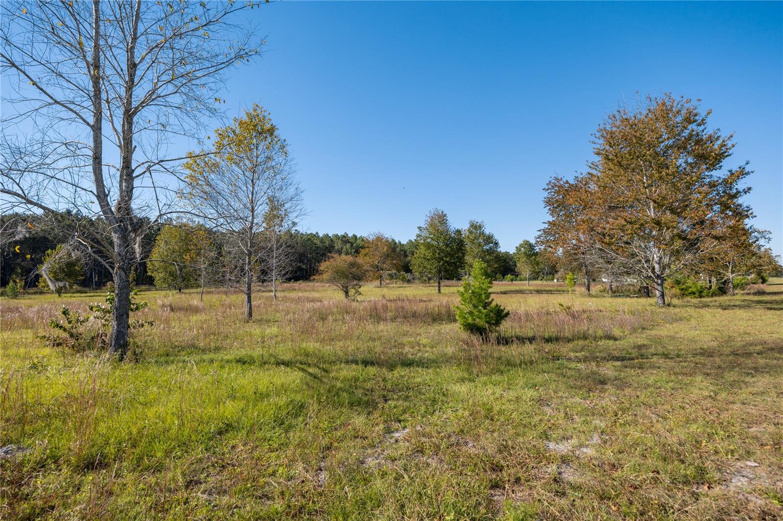 SEDGEFIELD SUB PH 1 - Residential