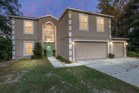 A home in CITRUS SPRINGS