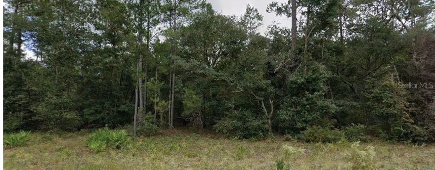 Wooded residential lot located in the quiet community of Florahome. Conveniently situated just off State Road 100, this location provides an easy drive to Palatka, Keystone Heights, and Gainesville while still maintaining a small-town feel. A great opportunity to invest in affordable land in Putnam County. All information is deemed reliable but should be independently verified.