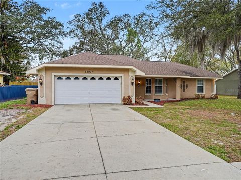 33911 SECRET HILL DRIVE LEESBURG FL 34788