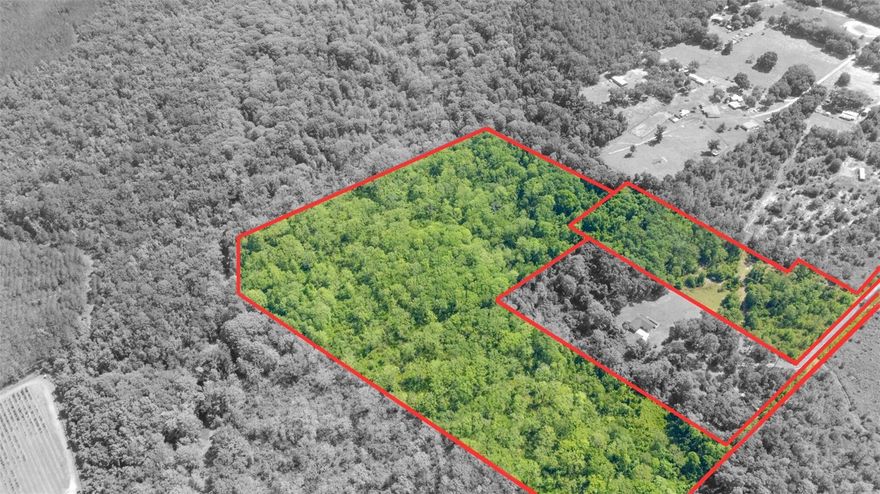 Imagine your family’s dream home nestled on 33.82 glorious acres, where mornings begin with the gentle melody of a private creek winding through your backyard. Wake up to sunshine filtering through oak and pine, sip coffee on your future porch as deer graze nearby, and plot out gardens, riding trails, or even a pond there’s room for every adventure. The Seller will clear and dedicate a private entrance with one acre ready for the noble construction of your Dream Home, and will even cover half of the closing costs with a full-price. Just a stone’s throw from charming Citra’s local eateries, parks, and community events, this slice of paradise offers peace and privacy without sacrificing convenience. Bring your plans, your vision, and your heart.