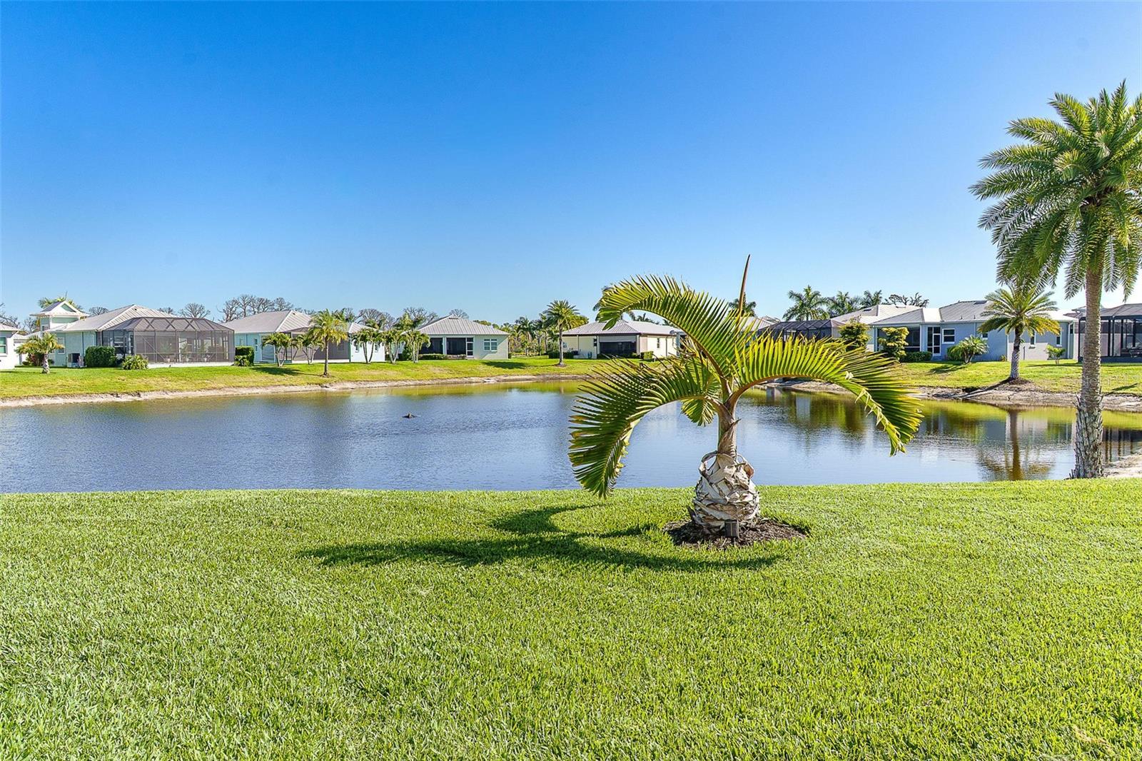 CORAL CAYE - Residential
