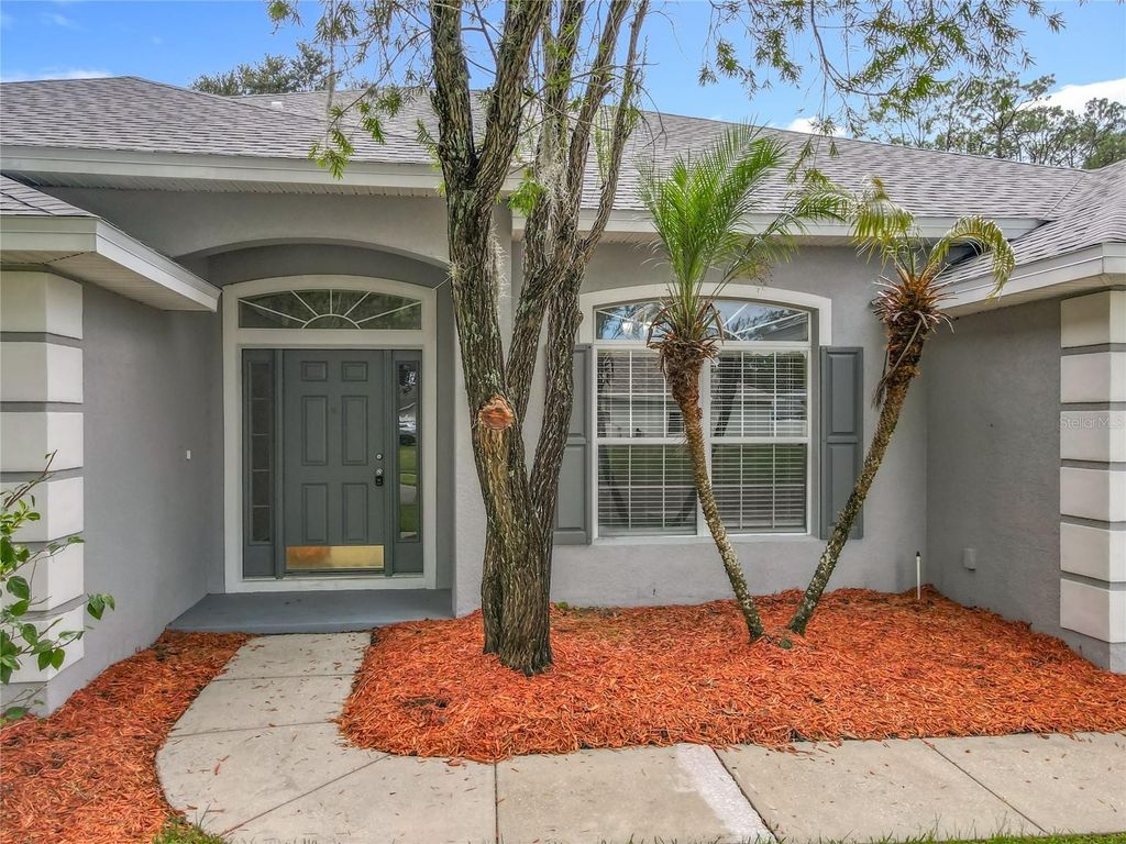 Photo of 1042 Twisted Branch Lane, Saint Cloud, FL 34771 (MLS # O6353836)