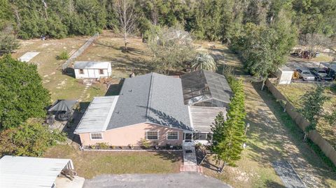 A home in MOUNT DORA