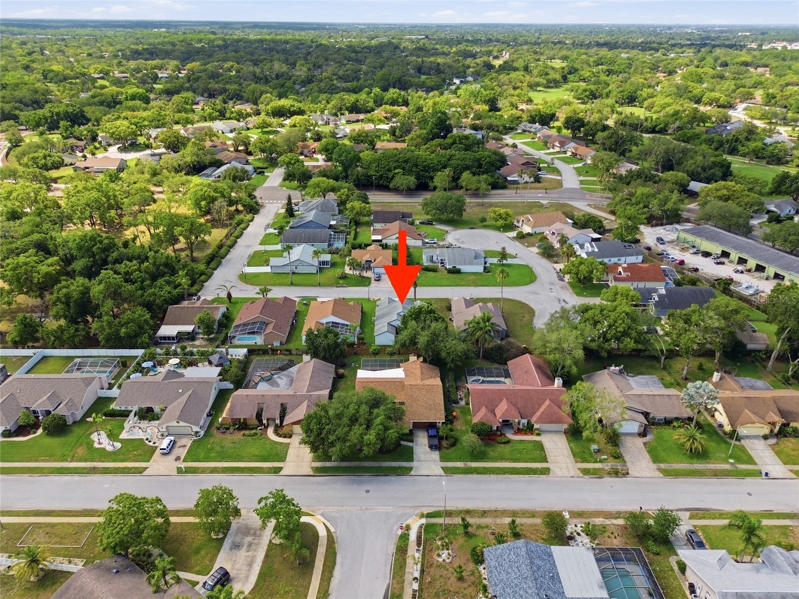 LIVE OAK VILLAGE BEACON WOODS - Residential