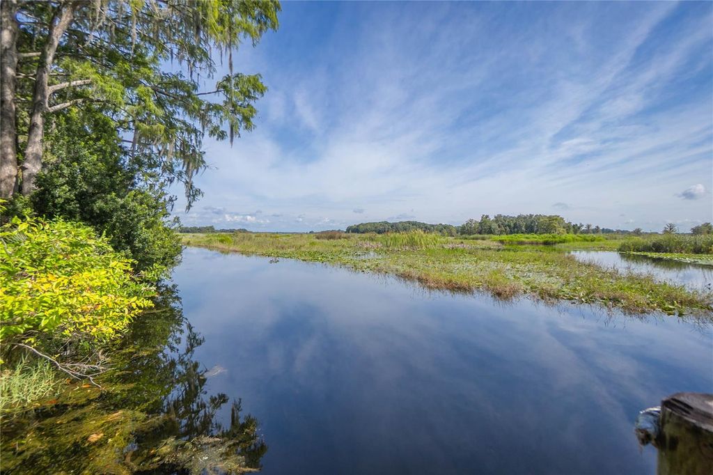 Photo of 4787 E Rugby Trail, Hernando, FL 34442 (MLS # OM712193)