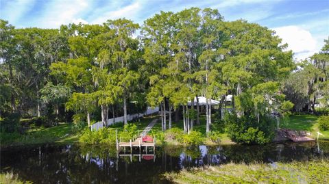 Tiny photo for 4787 E Rugby Trail, Hernando, FL 34442 (MLS # OM712193)