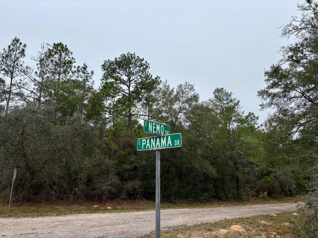 Photo of 517 E Nemo Drive, Citrus Springs, FL 34434 (MLS # G5105465)