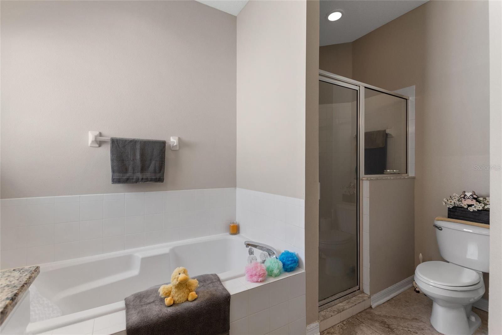 RIDGEWOOD LAKES VILLAGE 04A - Residential