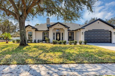 A home in DELTONA