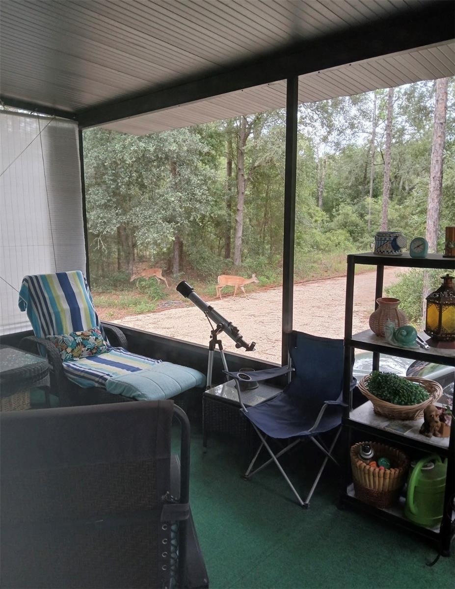 SUWANNEE RIVER ESTATES SOUTH - Residential