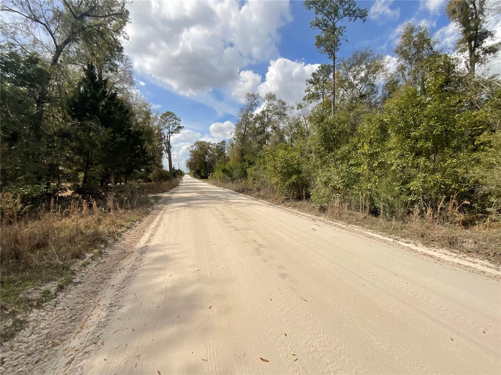 ICHETUCKNEE FOREST TR A PH 1 - Land