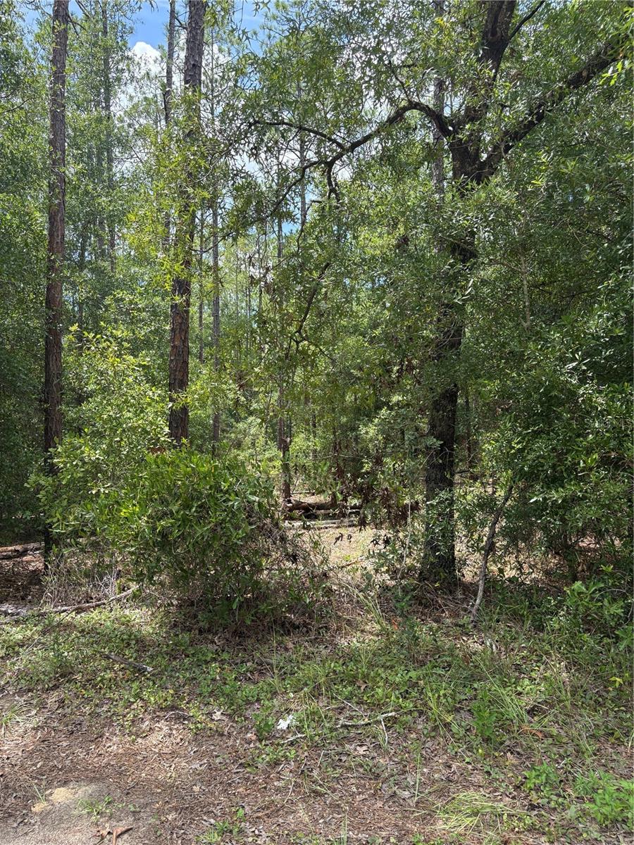 00 SW 87TH LOOP