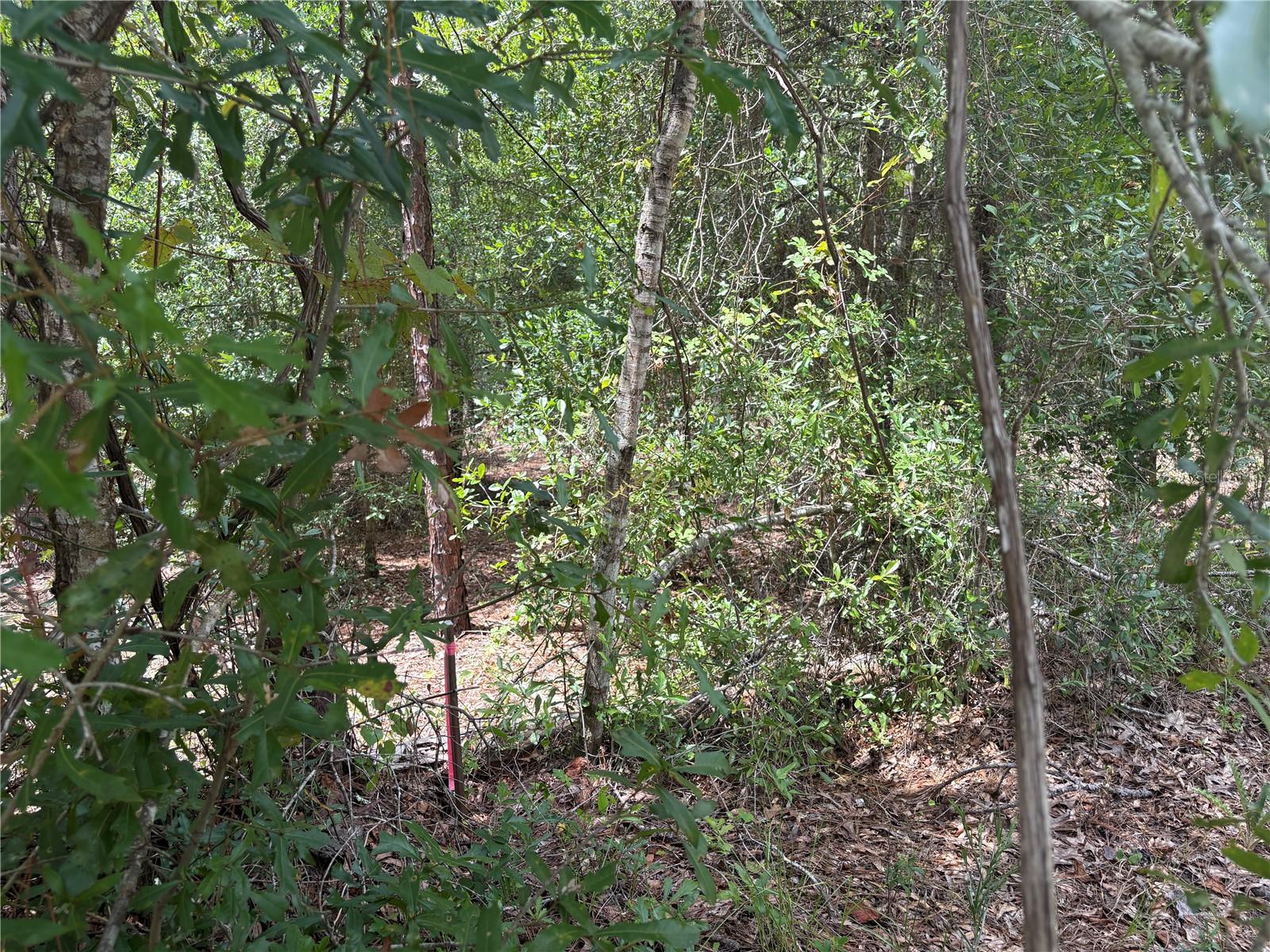 00 SW 87TH LOOP