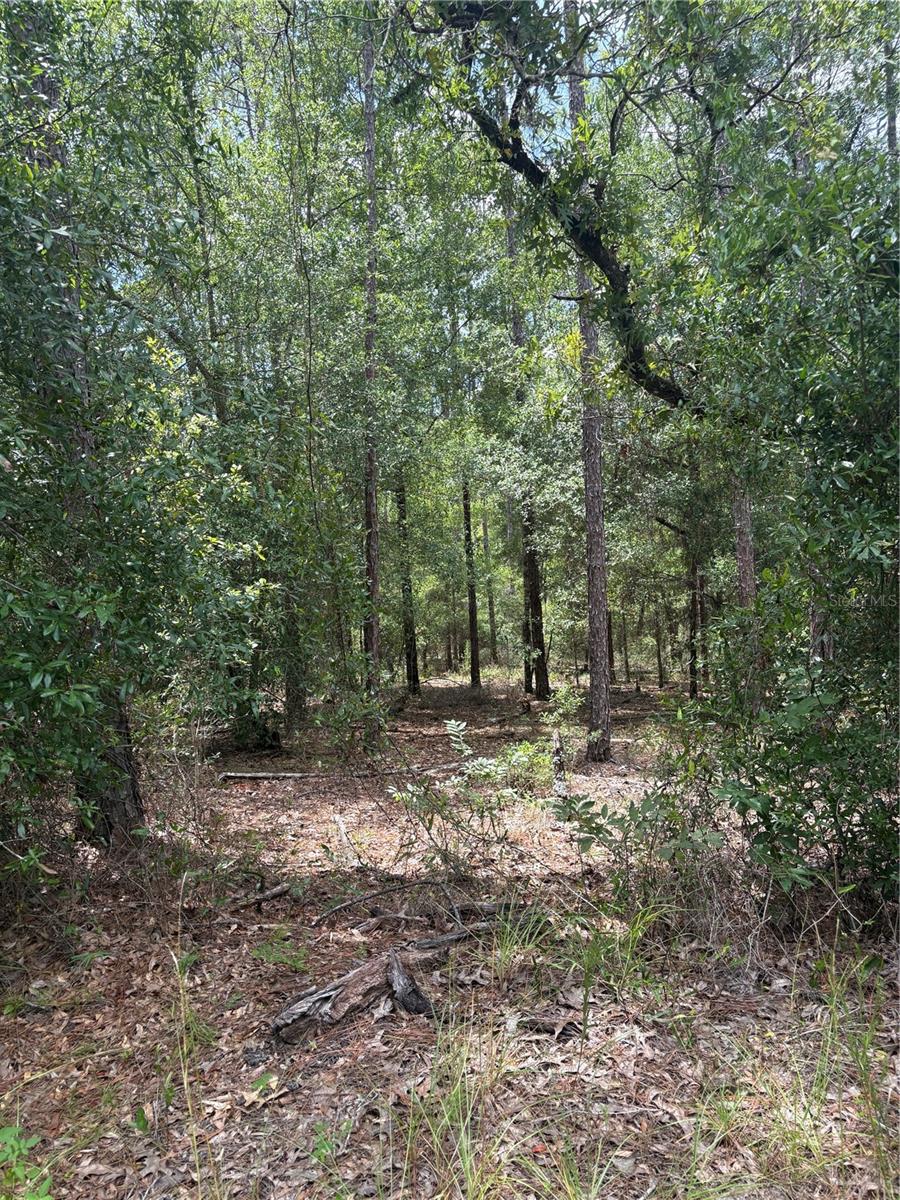 00 SW 87TH LOOP