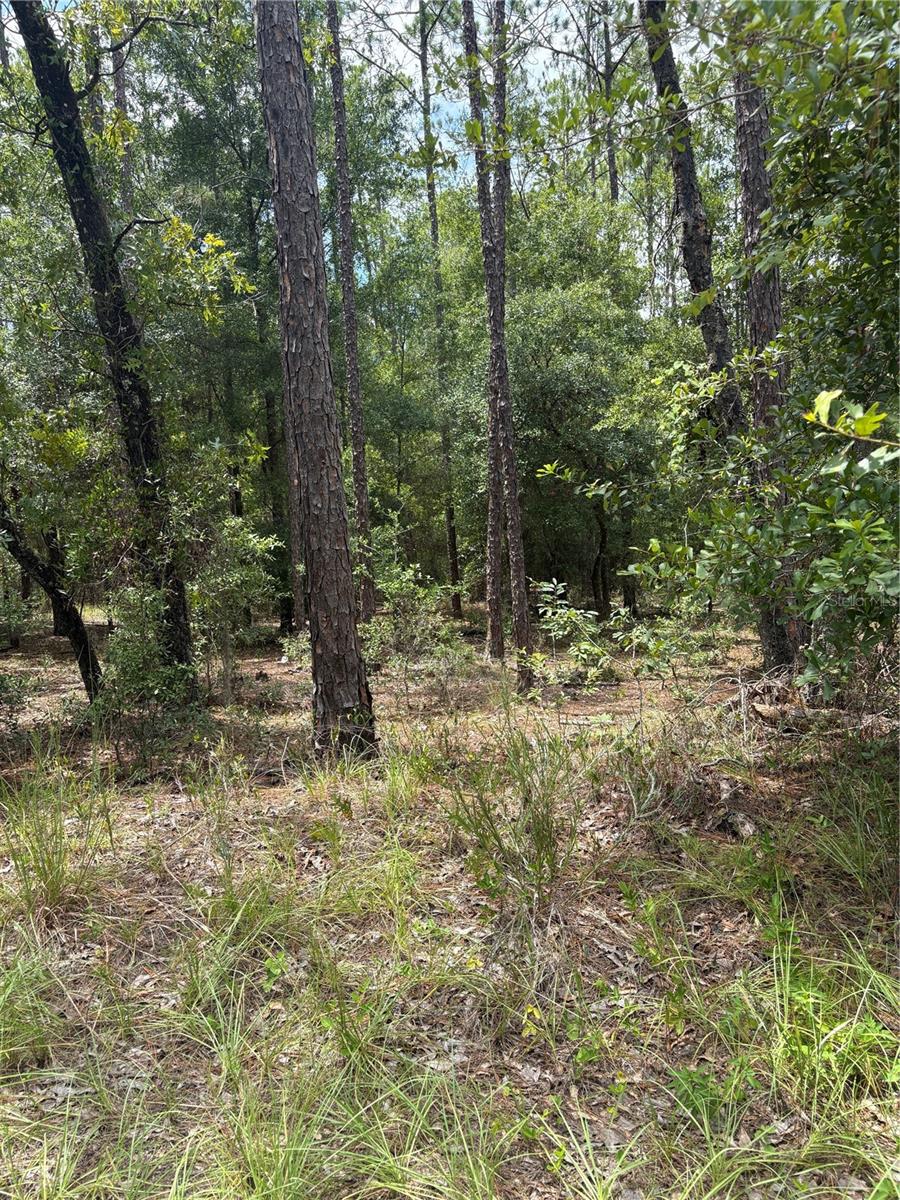 00 SW 87TH LOOP