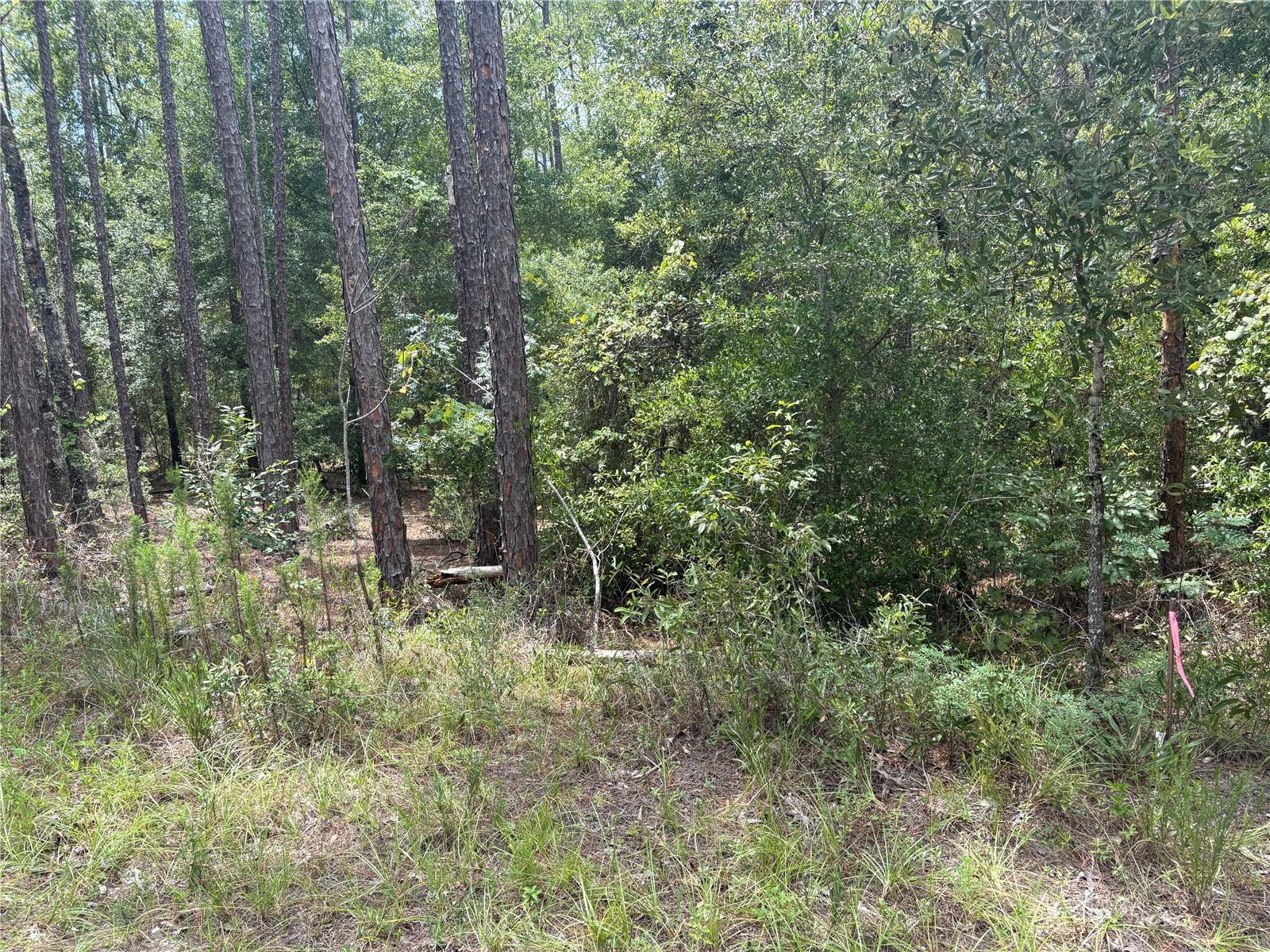 Beautiful, gentle slope sets this lot apart from the neighbors. Located in the quiet back-side of the highly desirable Rainbow Springs Woodlands, this is a must see. Build your dream home now or wait until retirement time. The Rainbow Springs Community has a private member only River Park and walking trail. Additionally, there is a community center with access to tennis, pickleball, horseshoes, shuffleboard, disc golf, billiards, a fitness room, meeting rooms and a community pool. All this for $243 annually. Come check it out!