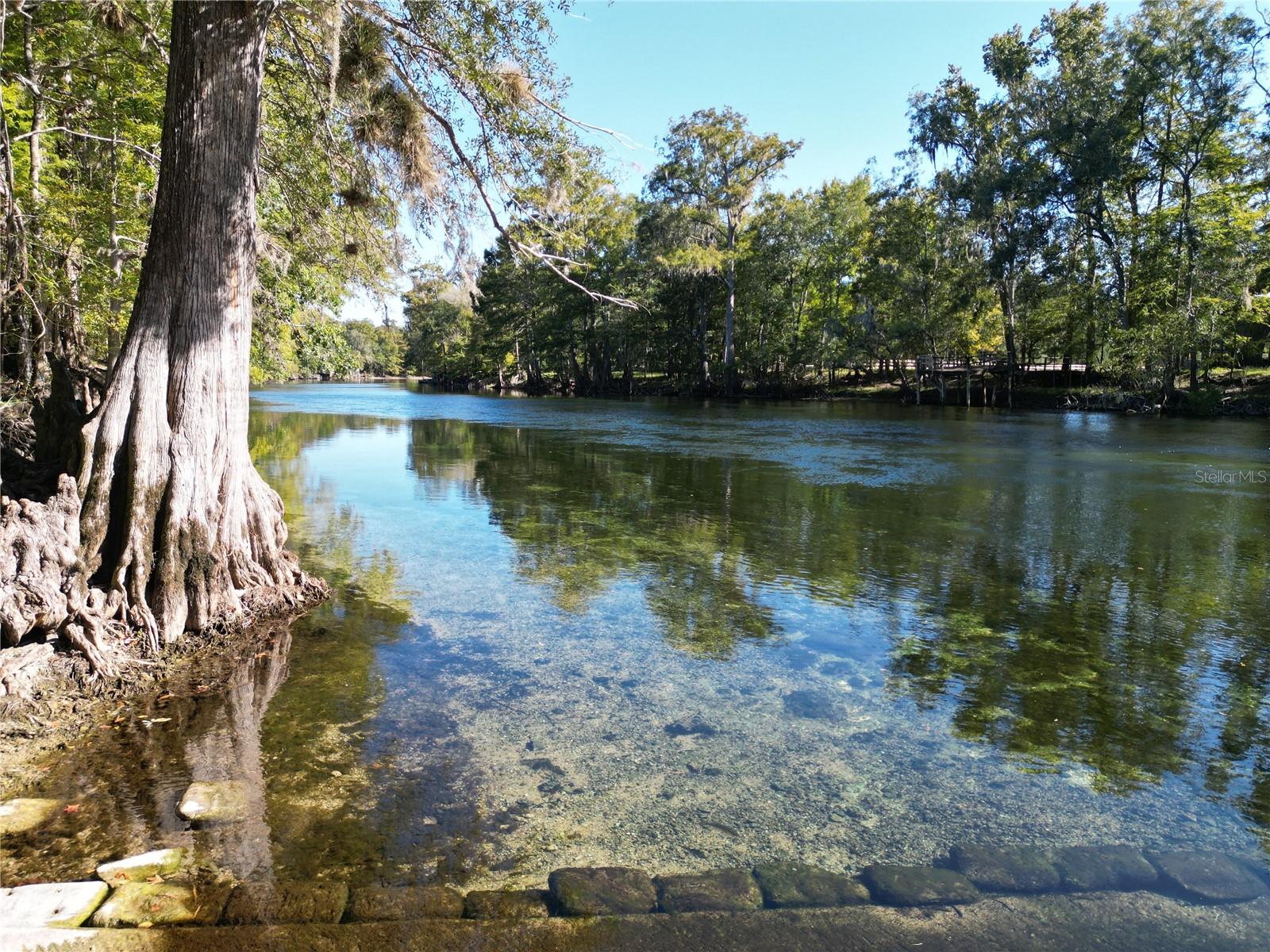 CEDAR SPGS SHORES REP - Residential