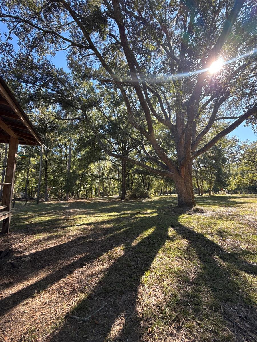 CEDAR SPGS SHORES REP - Residential