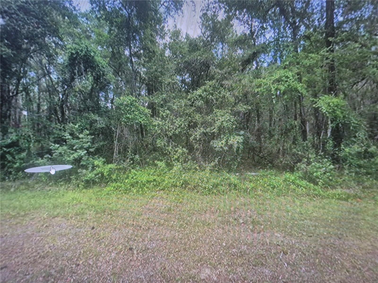 893 E BYRD LOOP