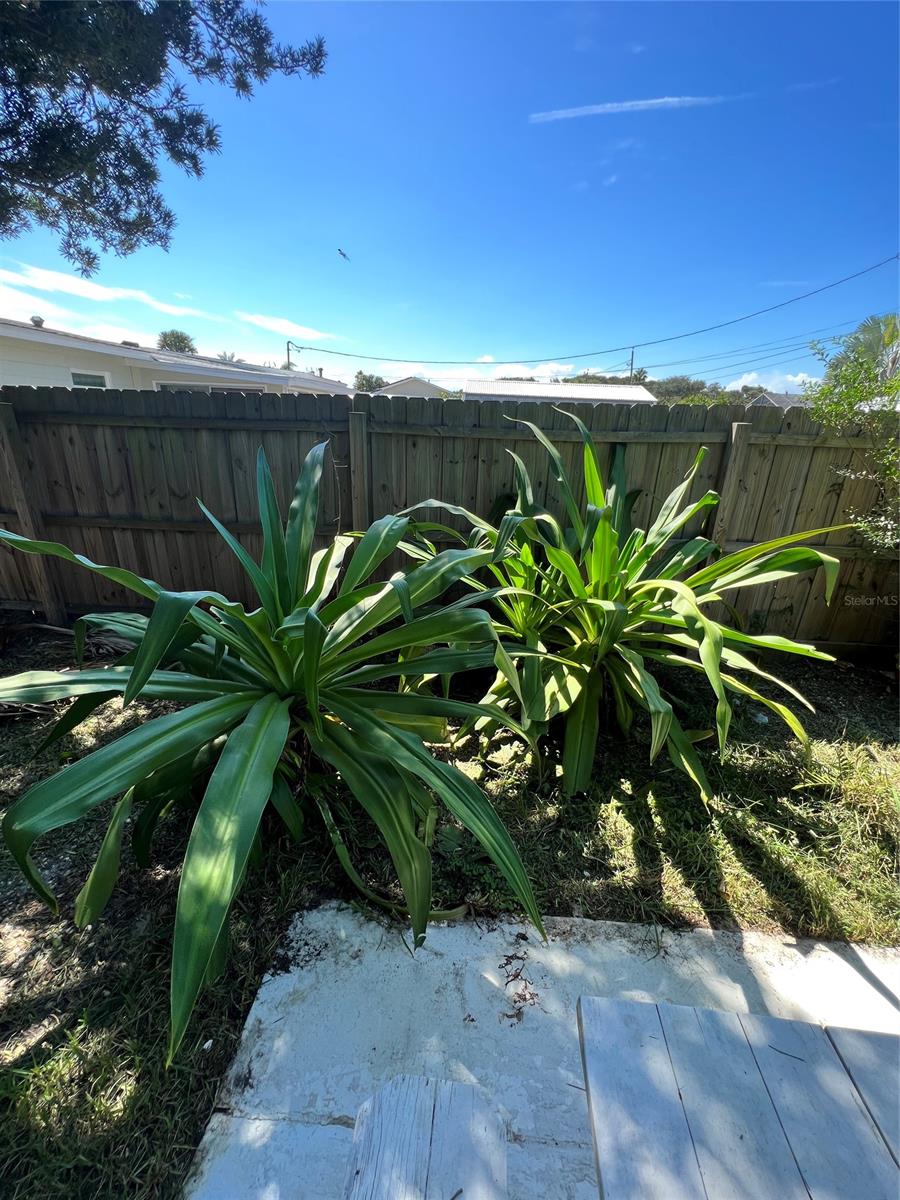 New Smyrna Beach - Residential