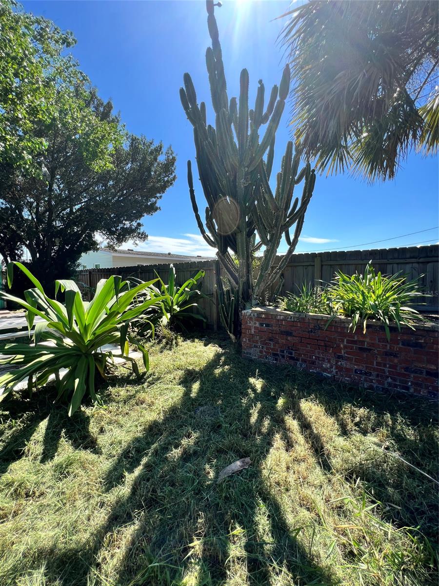 New Smyrna Beach - Residential