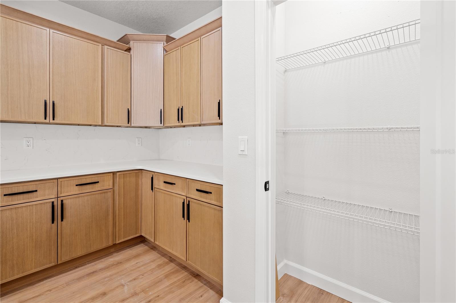 CHIEFLAND COUNTRY ESTATES - Residential